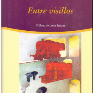 (Español) CARMEN MARTÍN GAITE, ENTRE VISILLOS