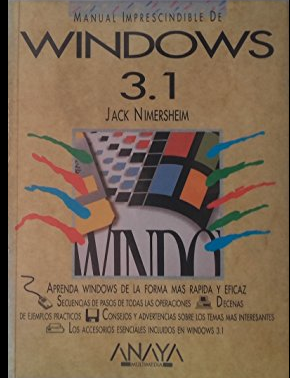 WINDOWS 3.1